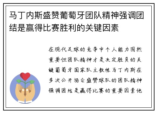 马丁内斯盛赞葡萄牙团队精神强调团结是赢得比赛胜利的关键因素