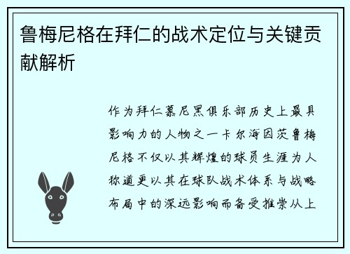 鲁梅尼格在拜仁的战术定位与关键贡献解析